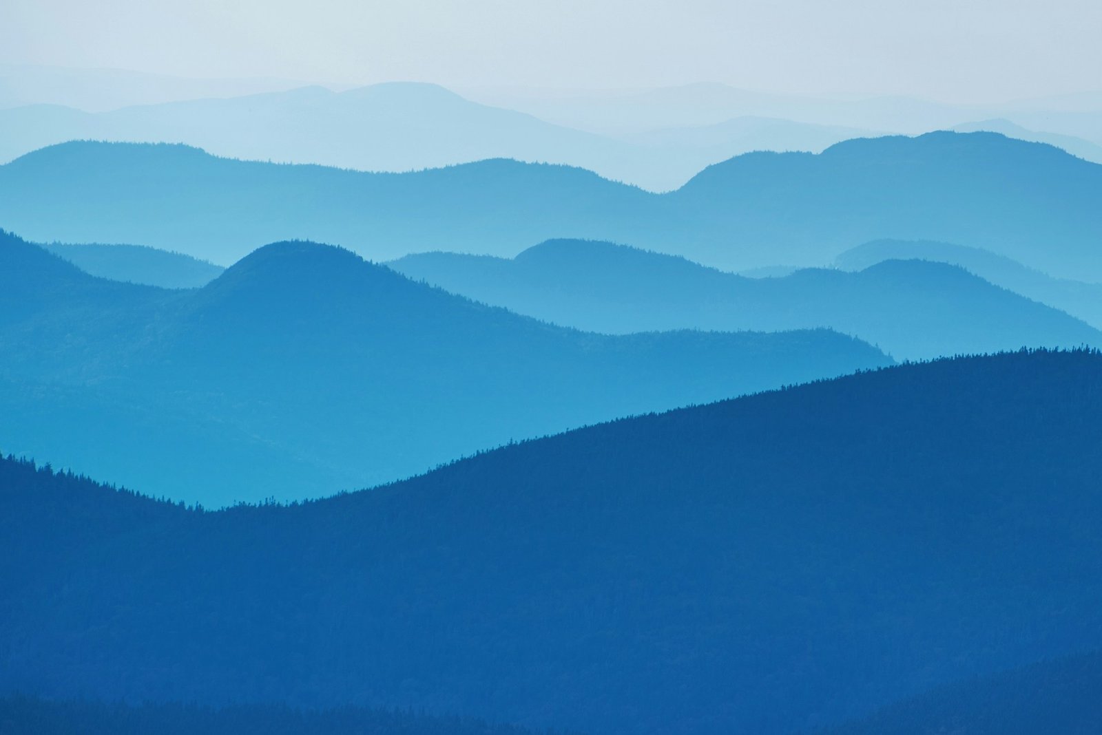 Why WordPress Leads the Digital Innovation